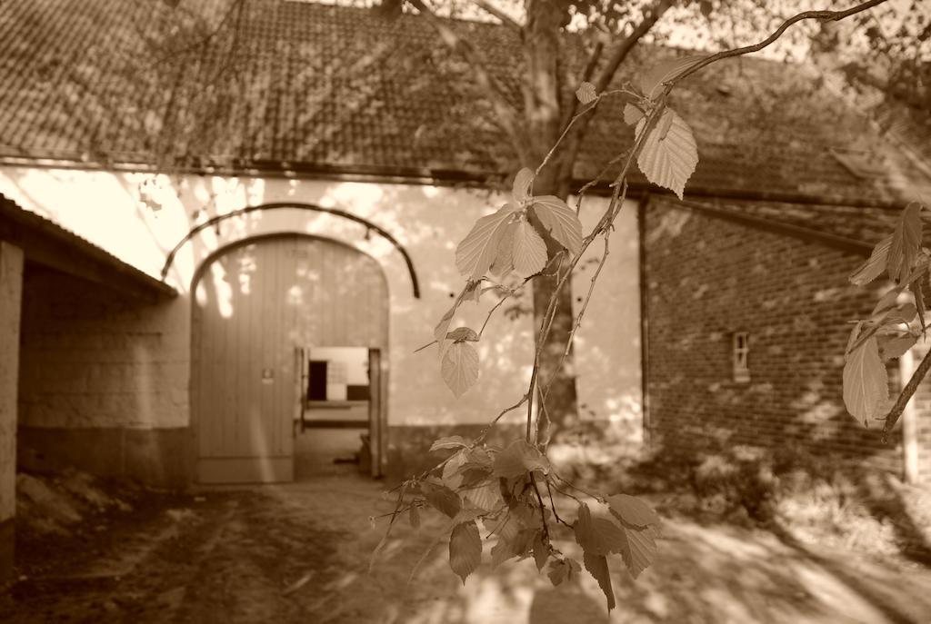 B&B De Oude Winning Riemst Εξωτερικό φωτογραφία